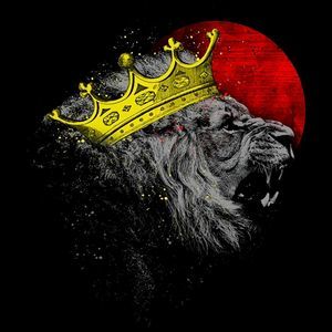 Meet your Posher, Jorge